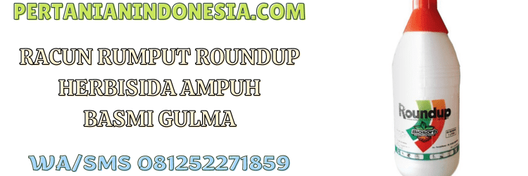 racun,rumput,roundup,roundup 486 sl,herbisida roundup
